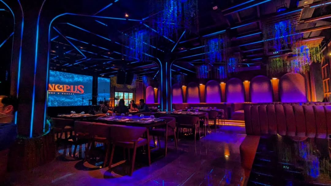 Canopus Lounge Visual System